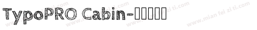 TypoPRO Cabin字体转换